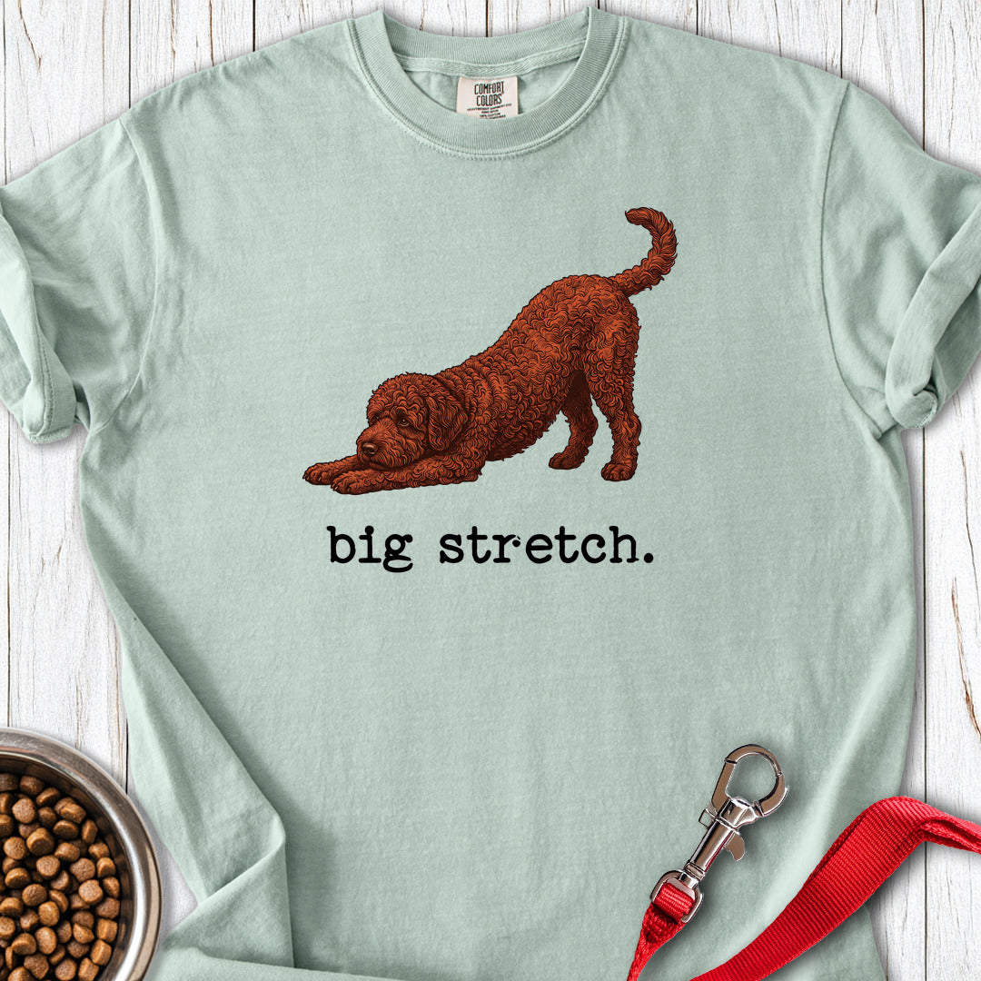 Lagotto Big Stretch Premium Tee — Bay