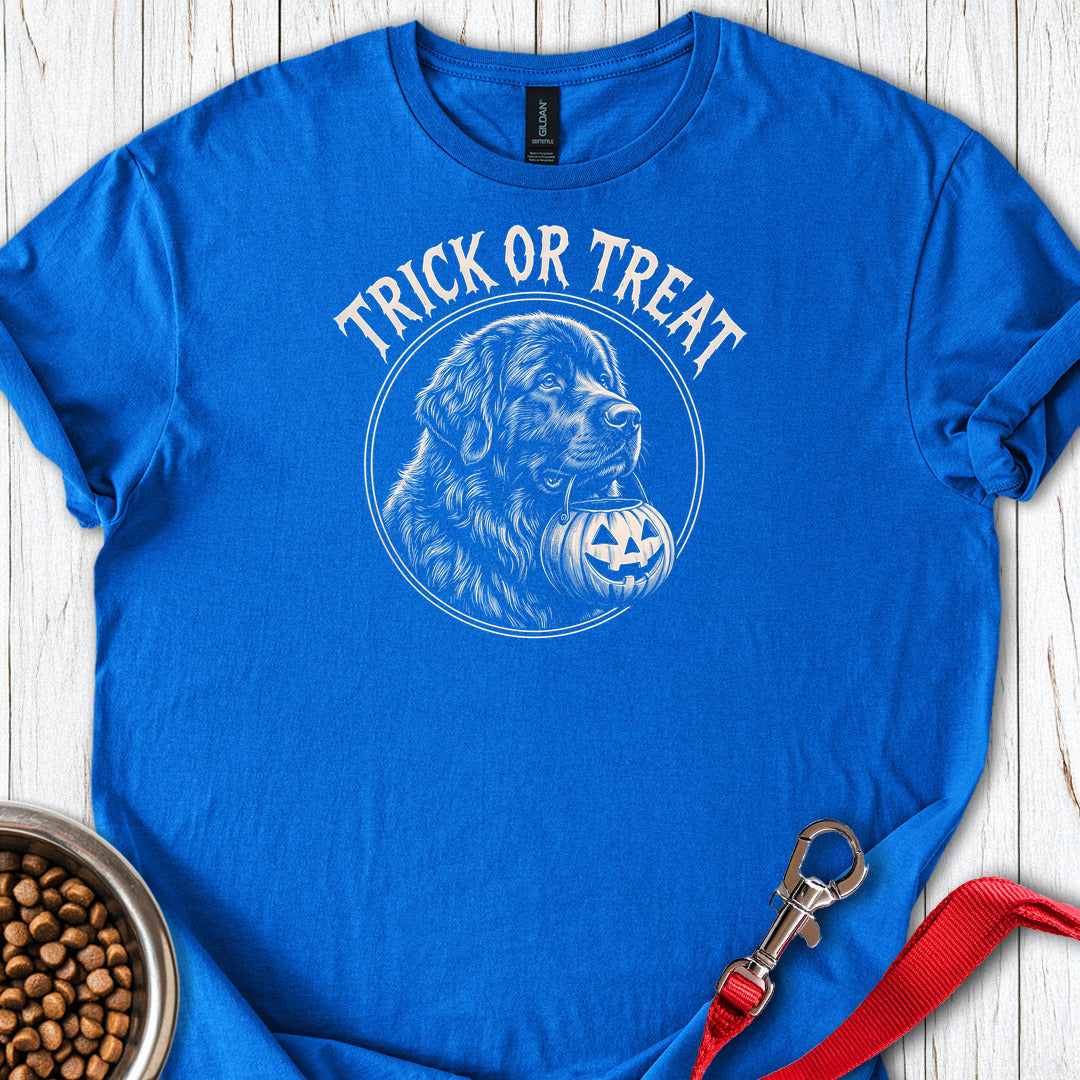 Newfoundland Trick Or Treat — Royal