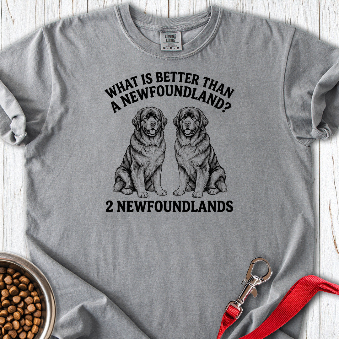 Newfoundland What Is Better Than One Premium Tee — Grey