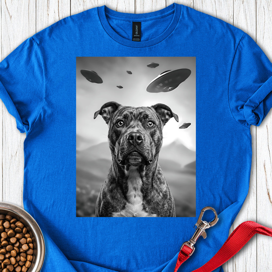 Pitbull UFO — Royal