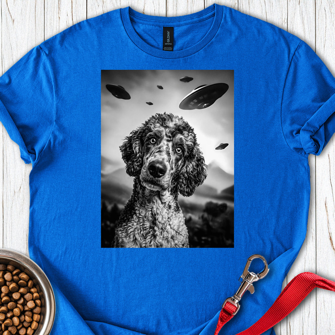 Poodle UFO β Royal
