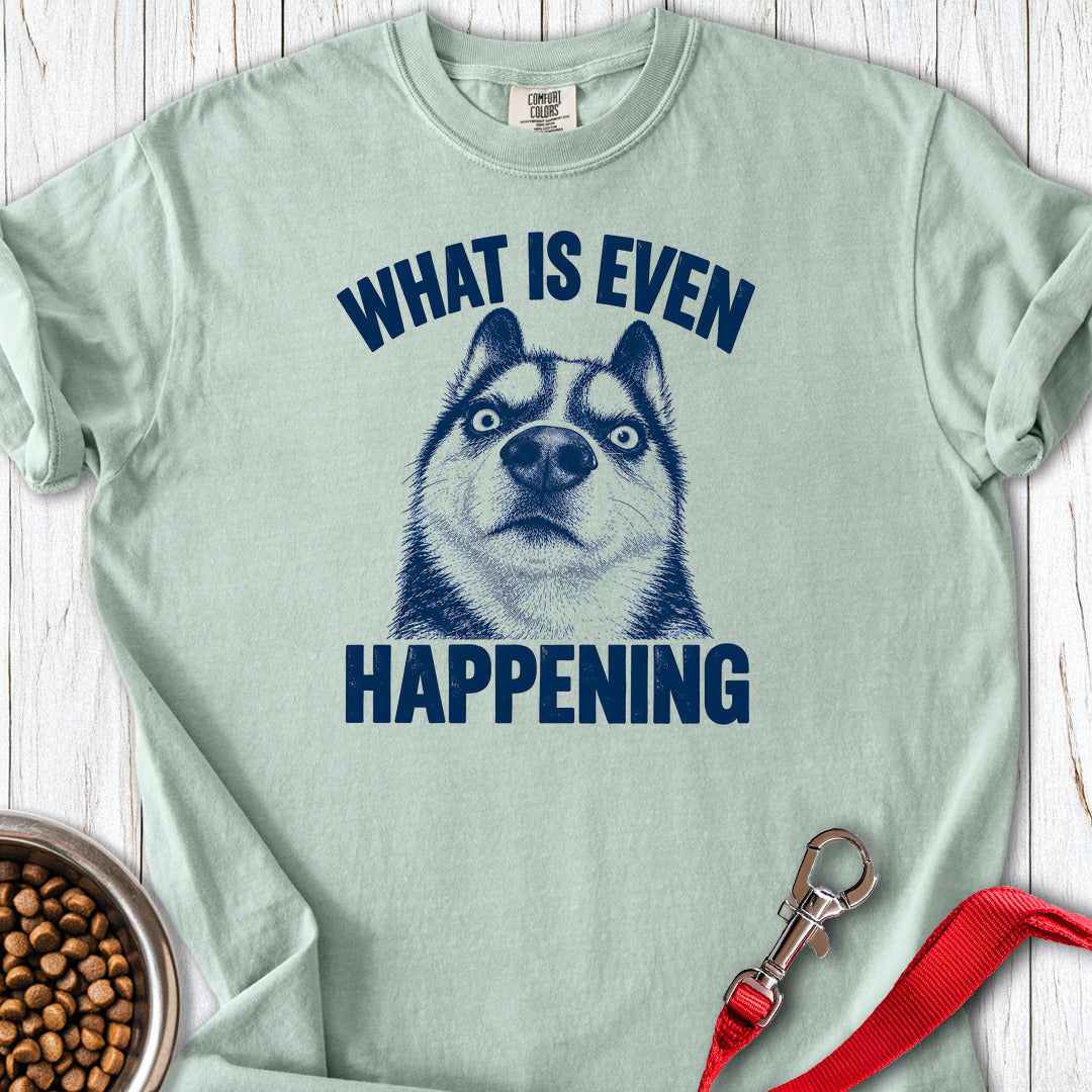 Siberian Husky What Is Even Happening Premium Tee Bay
