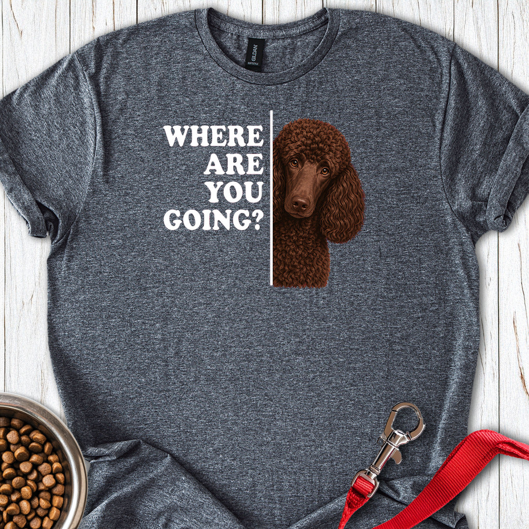 Standard Poodle Where Are You Going Chocolate — Dark Heather