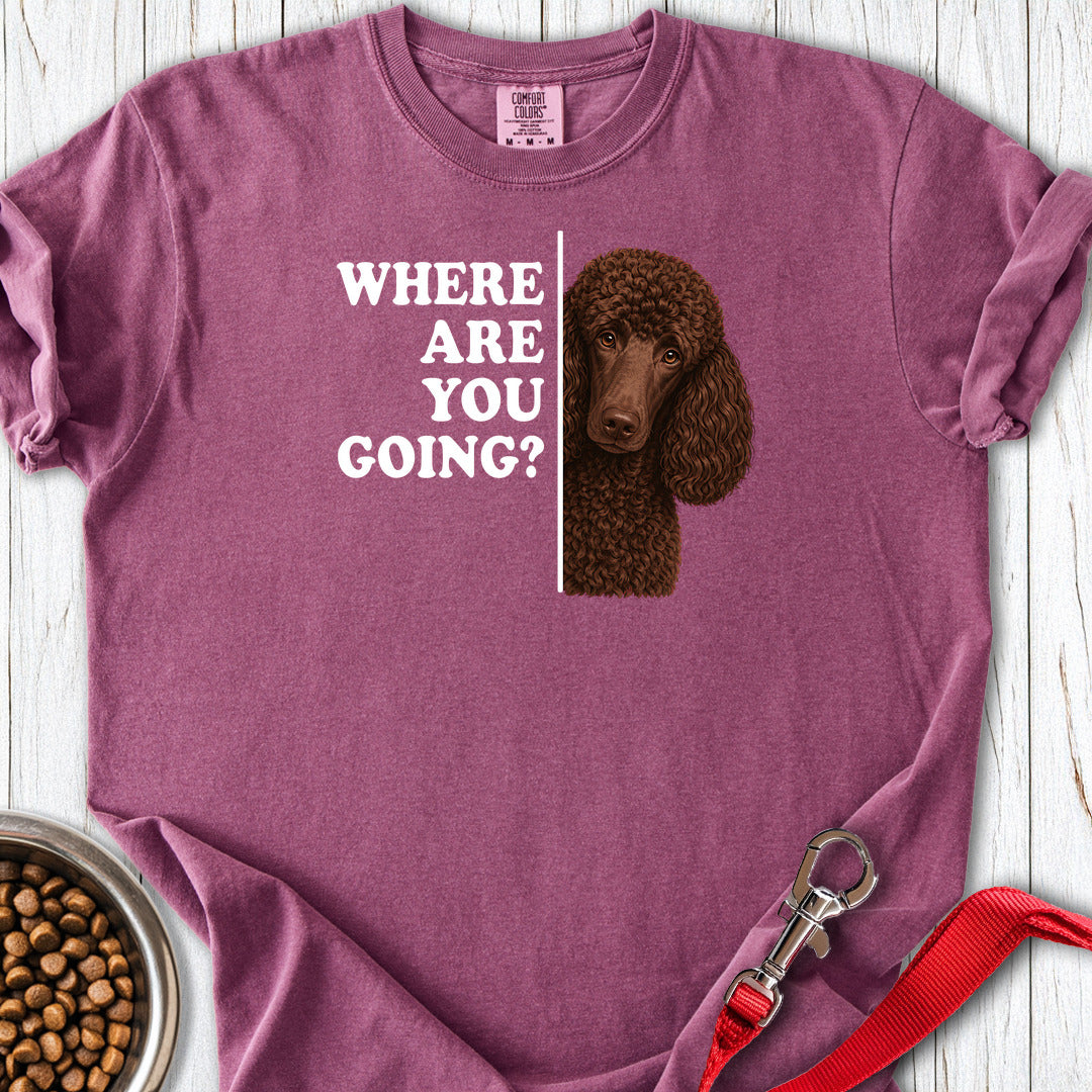 Standard Poodle Where Are You Going Chocolate Premium Tee — Berry