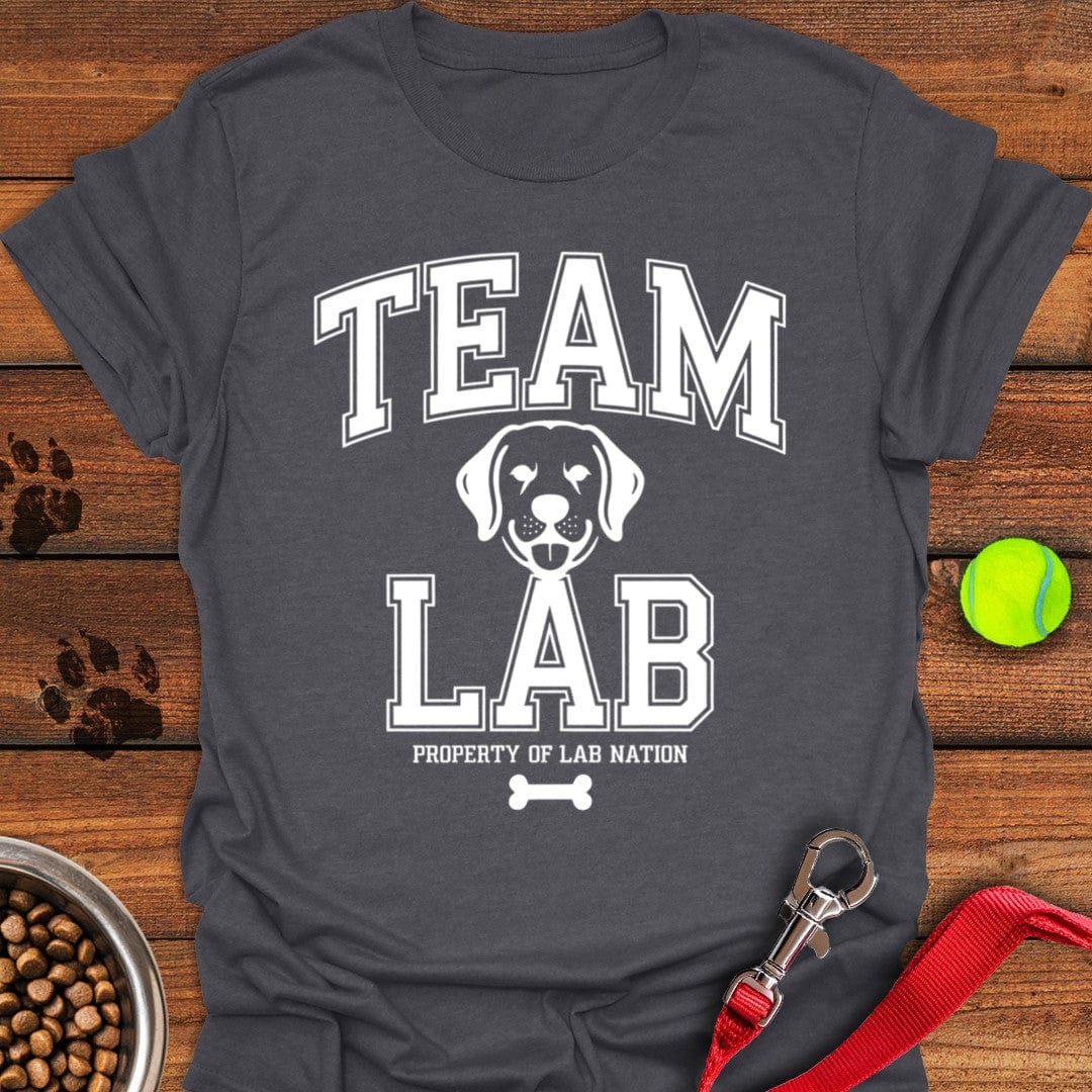 Team Lab T-Shirt Dark Heather