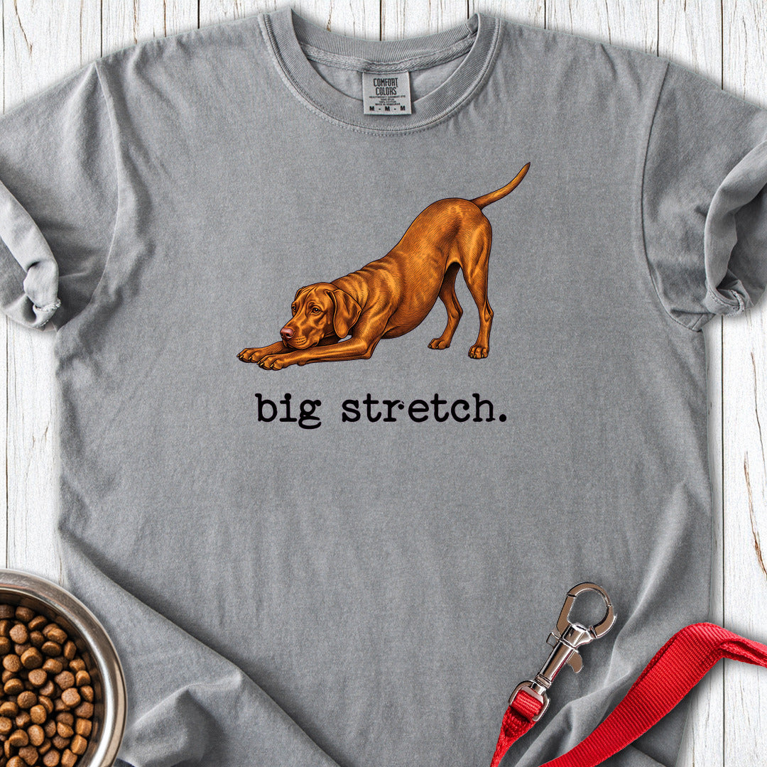 Vizsla Big Stretch Premium Tee — Grey