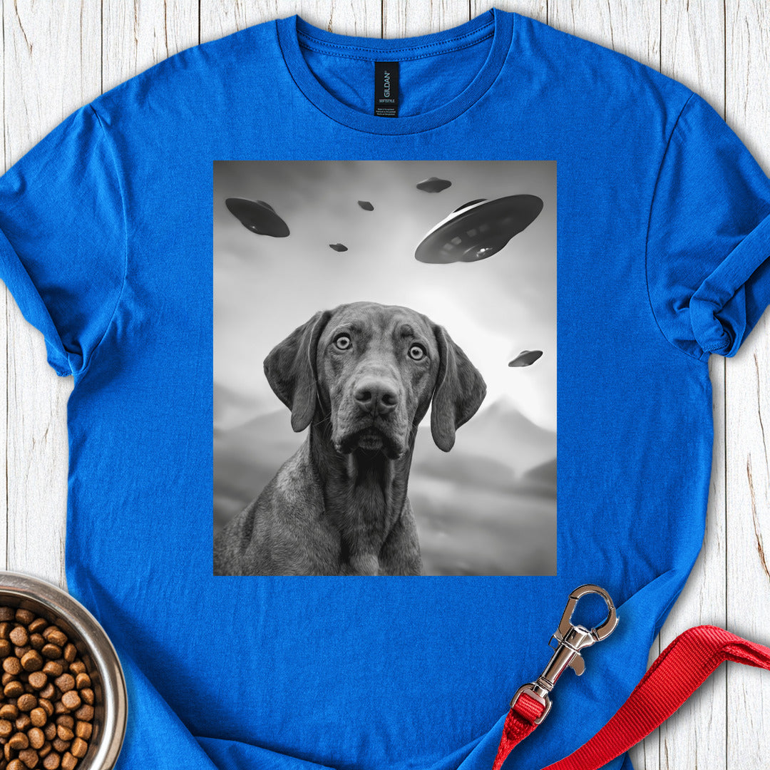 Vizsla UFO Royal
