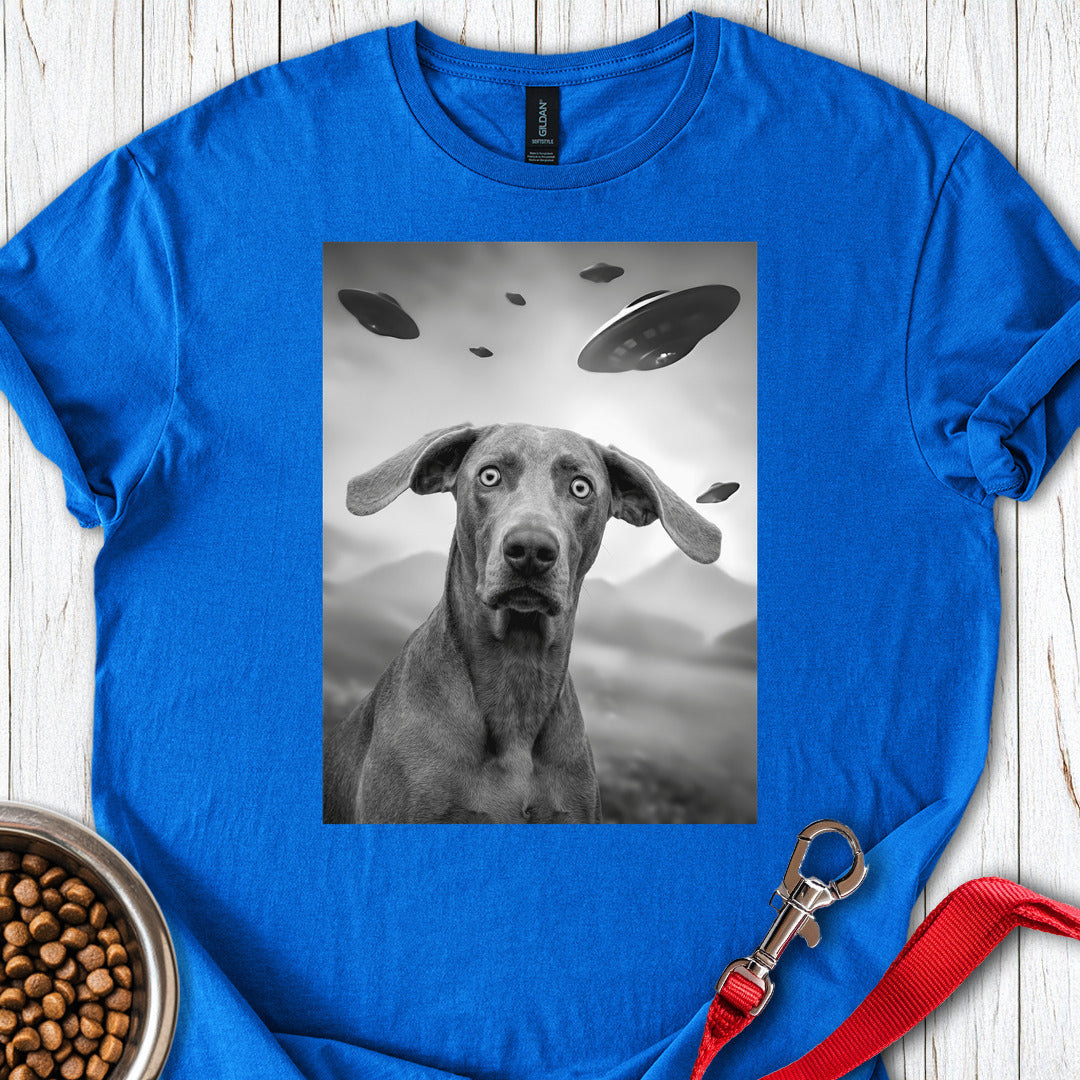Weimaraner UFO Royal