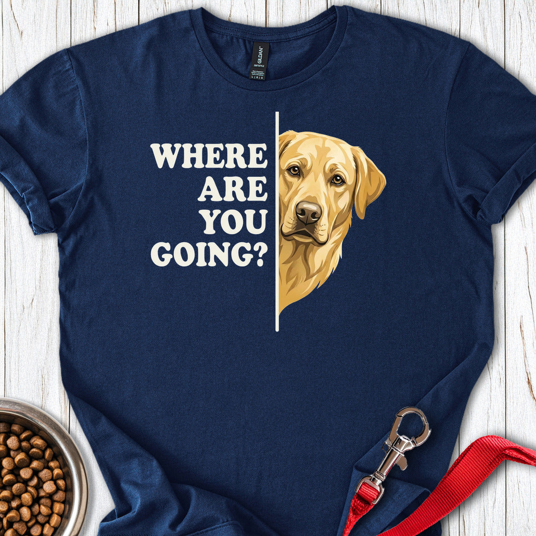 Yellow Lab Following Navy