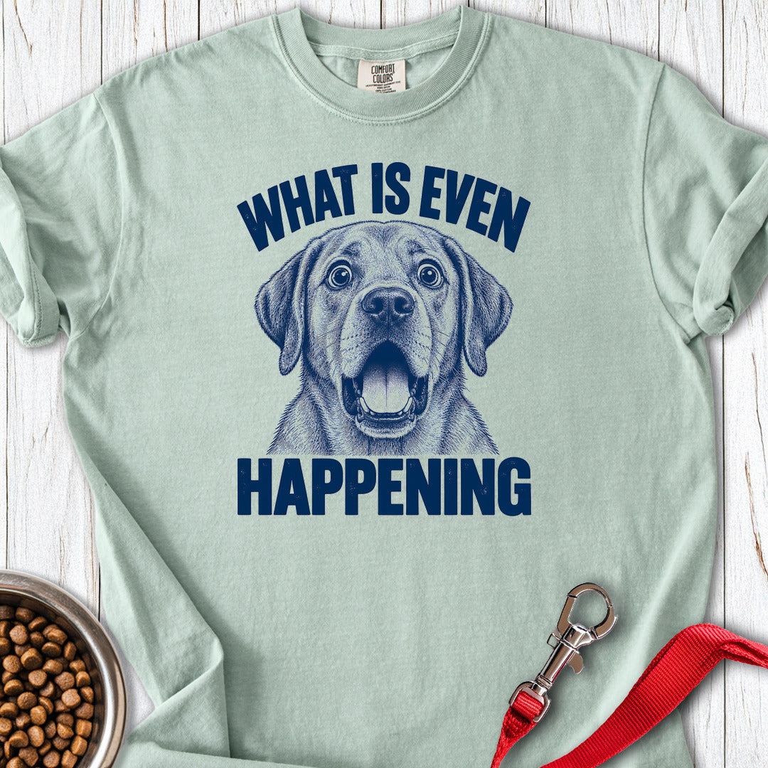Yellow Labrador What Is Even Happening Premium Tee — Bay