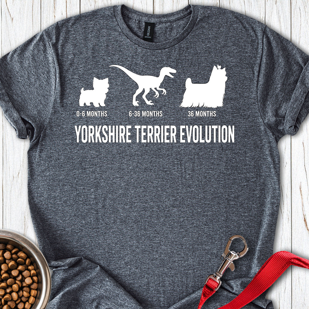 Yorkshire Terrier Evolution Dark Heather