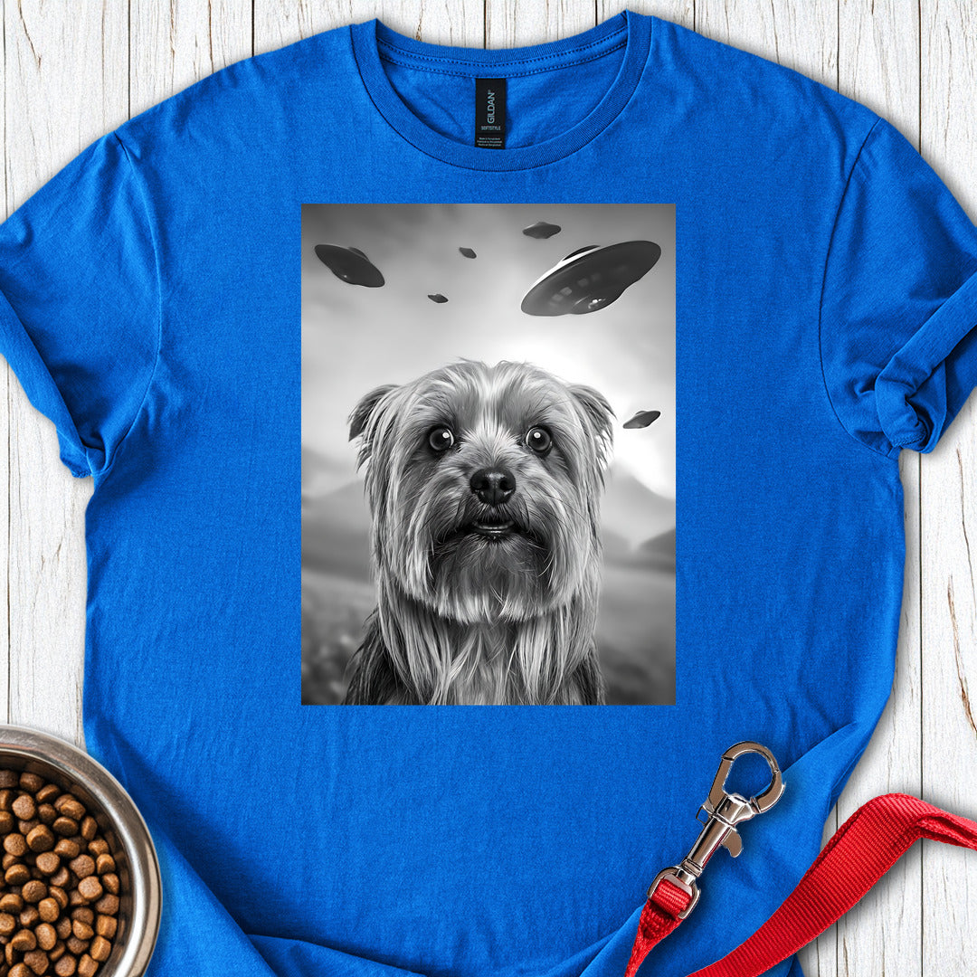 Yorkshire Terrier UFO Royal