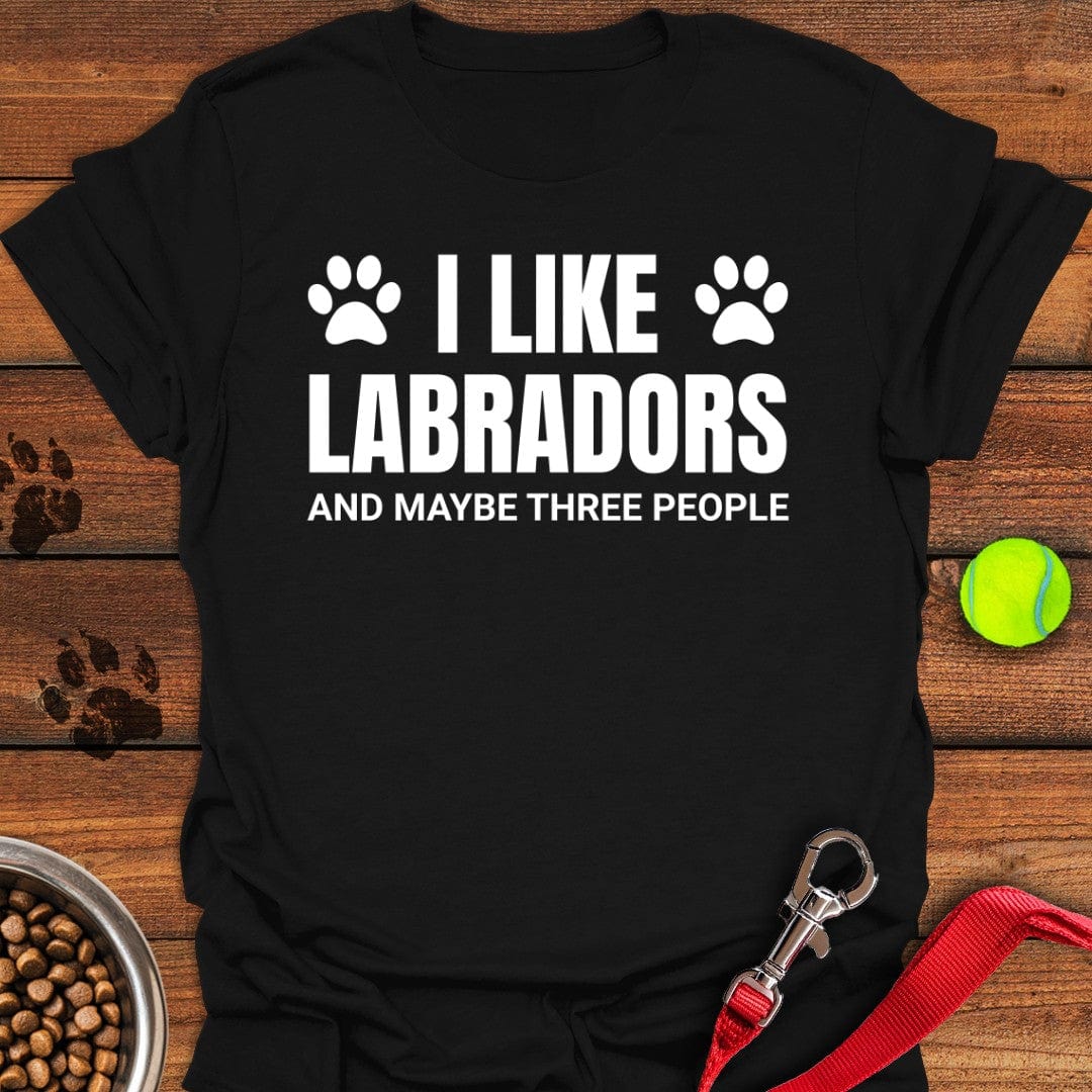 I Like Labradors T-Shirt Black