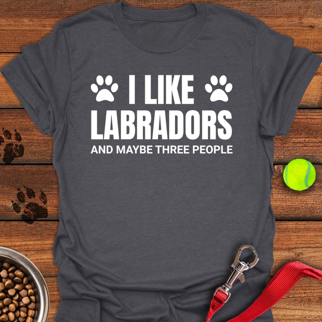 I Like Labradors T-Shirt Dark Heather
