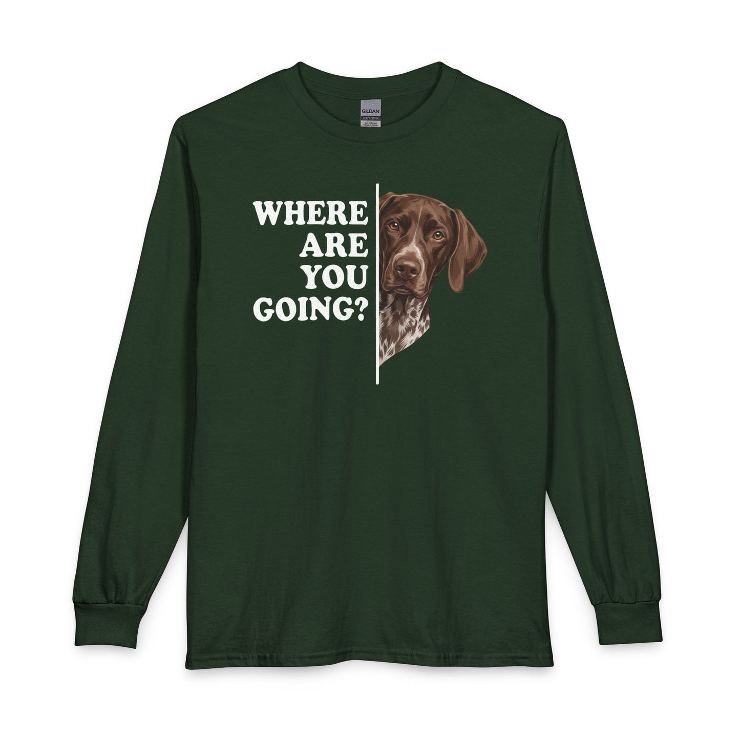 German Shorthaired Pointer Followning Long Sleeve