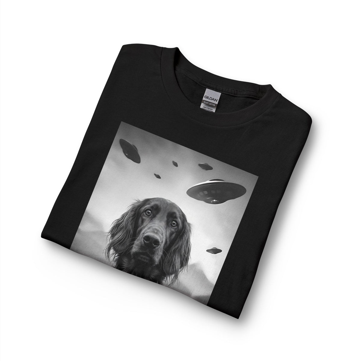 Irish Setter UFO Long Sleeve