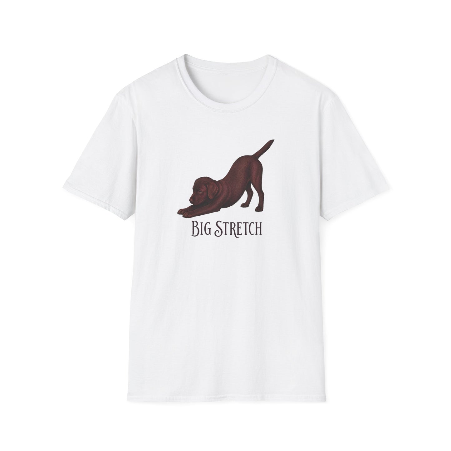 Big Stretch Chocolate Labrador Puppy