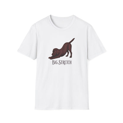 Big Stretch Chocolate Labrador Puppy