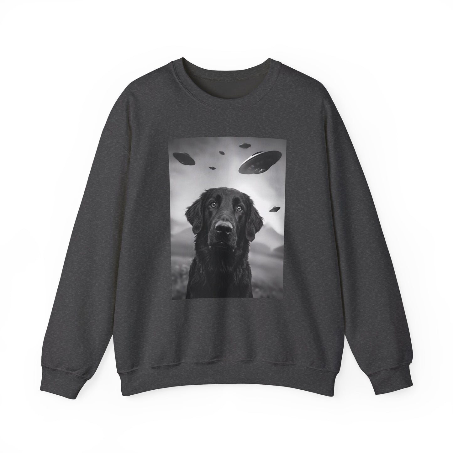 Flat Coated Retriever UFO Crewneck Sweatshirt
