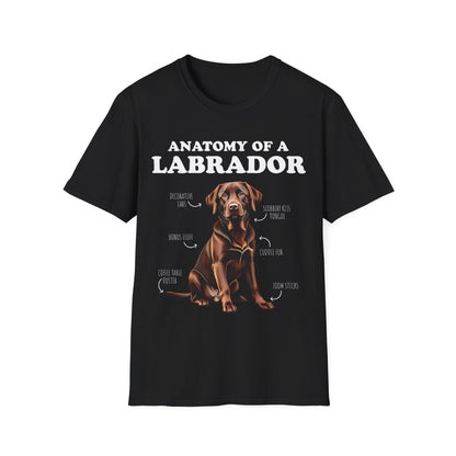 Anatomy Of A Brown Labrador Tee