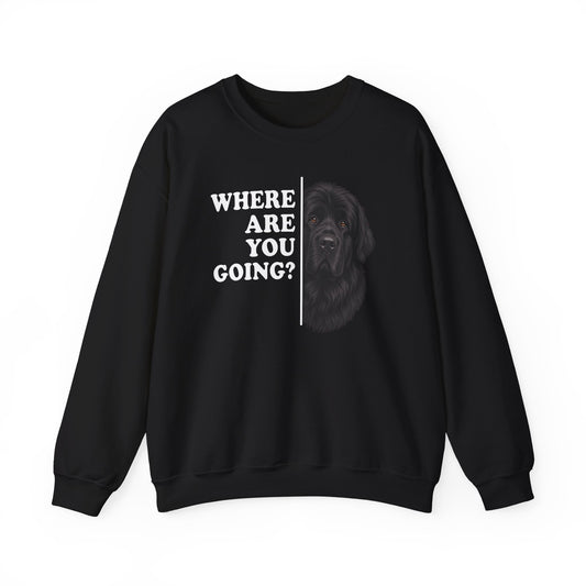 Newfoundland Where Are You Going Crewneck Sweatshirt