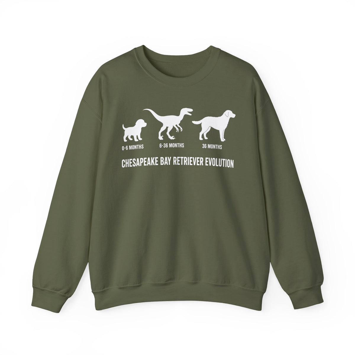 Chesapeake Bay Retriever Evolution Crewneck Sweatshirt