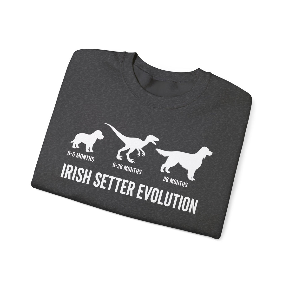 Irish Setter Evolution Crewneck Sweatshirt