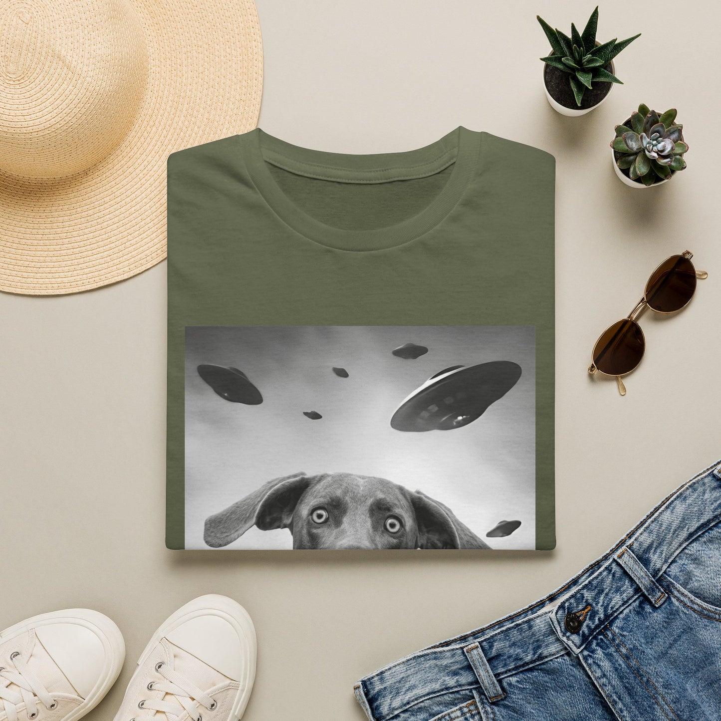 Weimaraner UFO