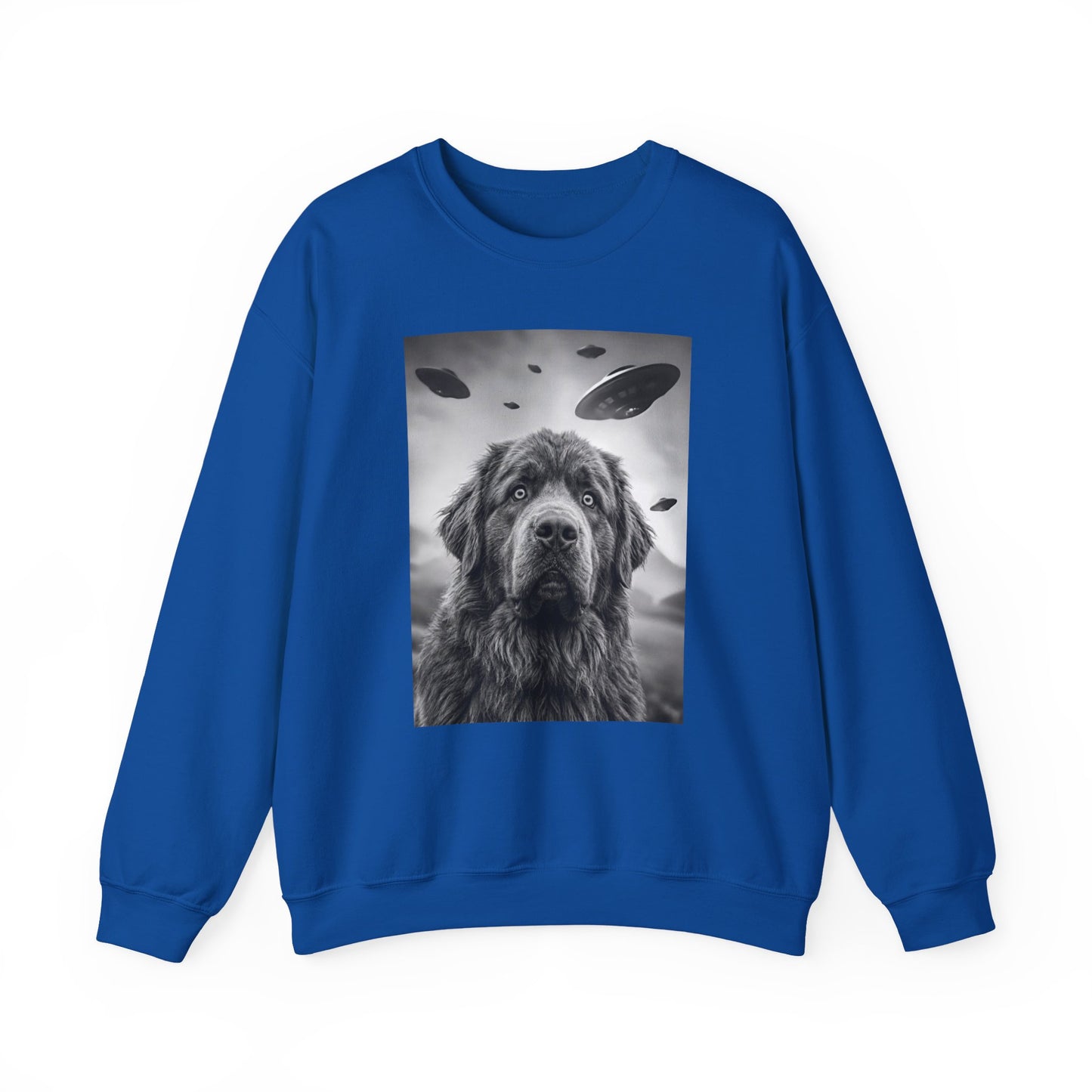 Newfoundland UFO Crewneck Sweatshirt
