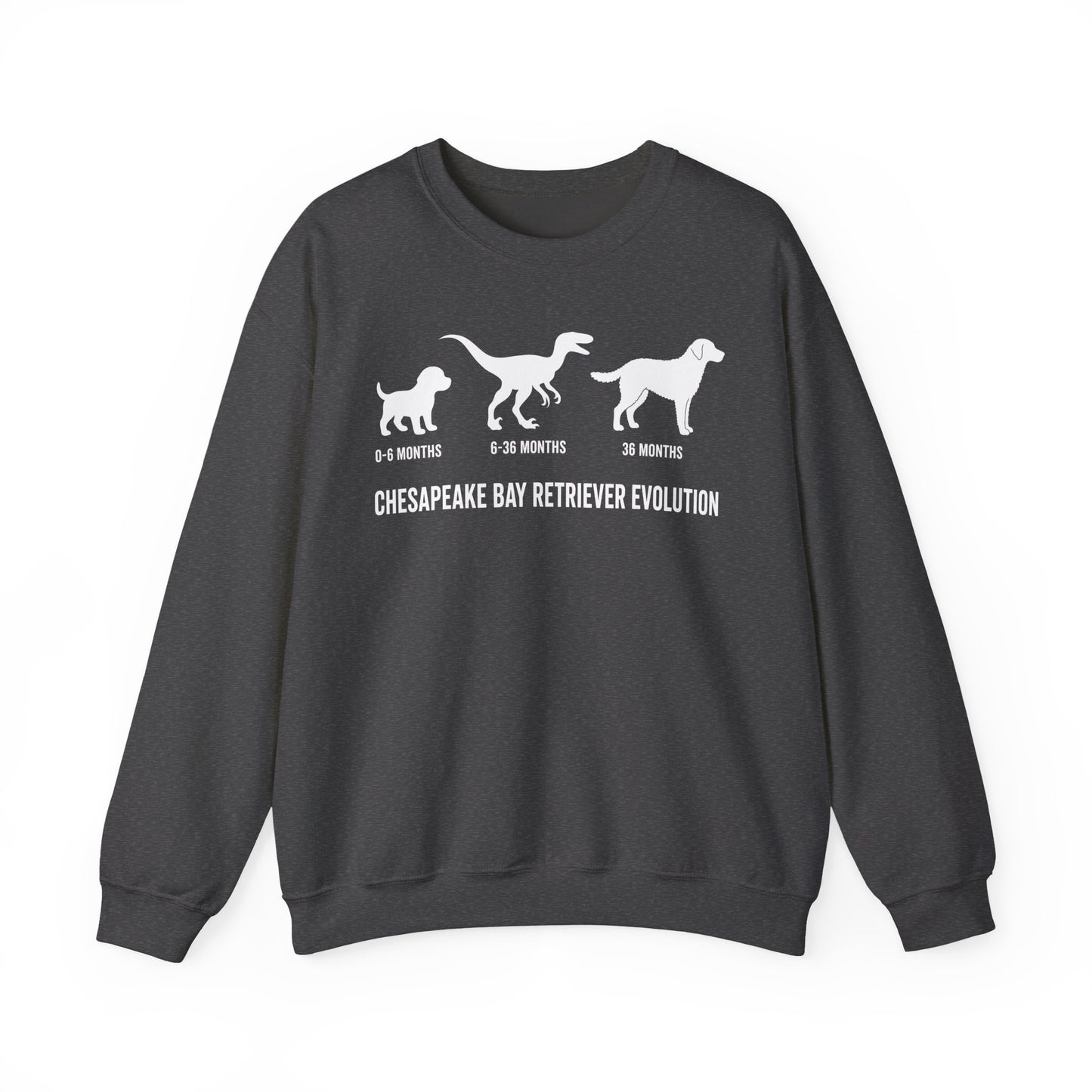 Chesapeake Bay Retriever Evolution Crewneck Sweatshirt