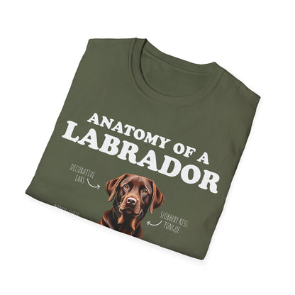 Anatomy Of A Brown Labrador Tee