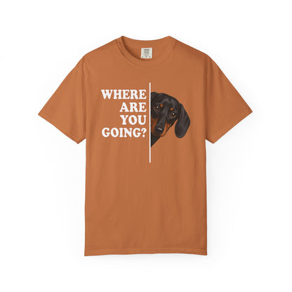 Dachshund Where Are You Going Black and Tan Premium Tee