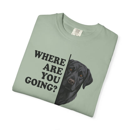 Black labrador Alert Premium Tee