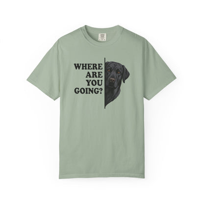 Black labrador Alert Premium Tee