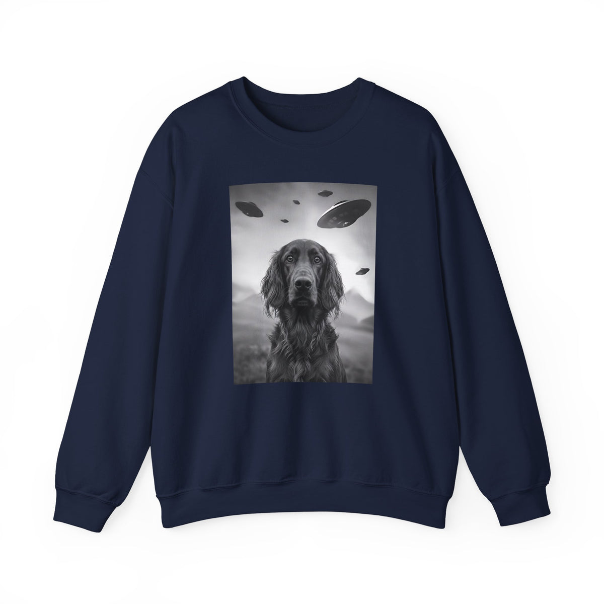Irish Setter UFO Crewneck Sweatshirt