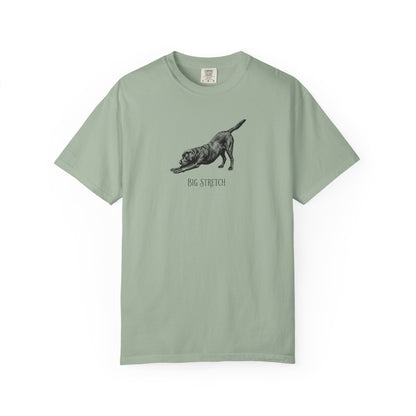 Big Stretch Black Labrador Premium Tee