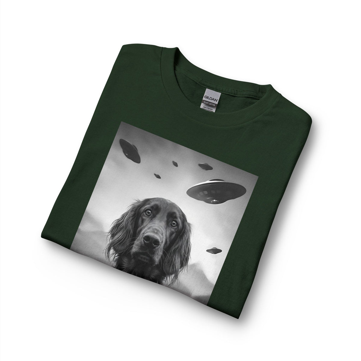 Irish Setter UFO Long Sleeve