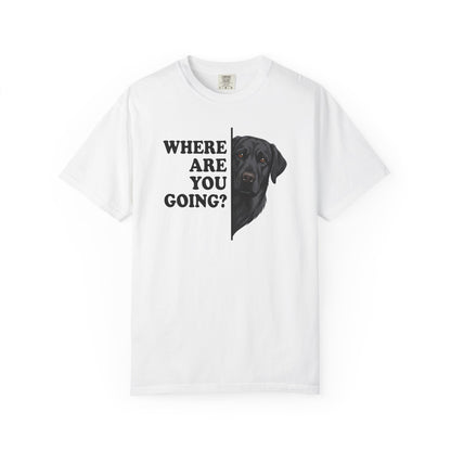 Black labrador Alert Premium Tee