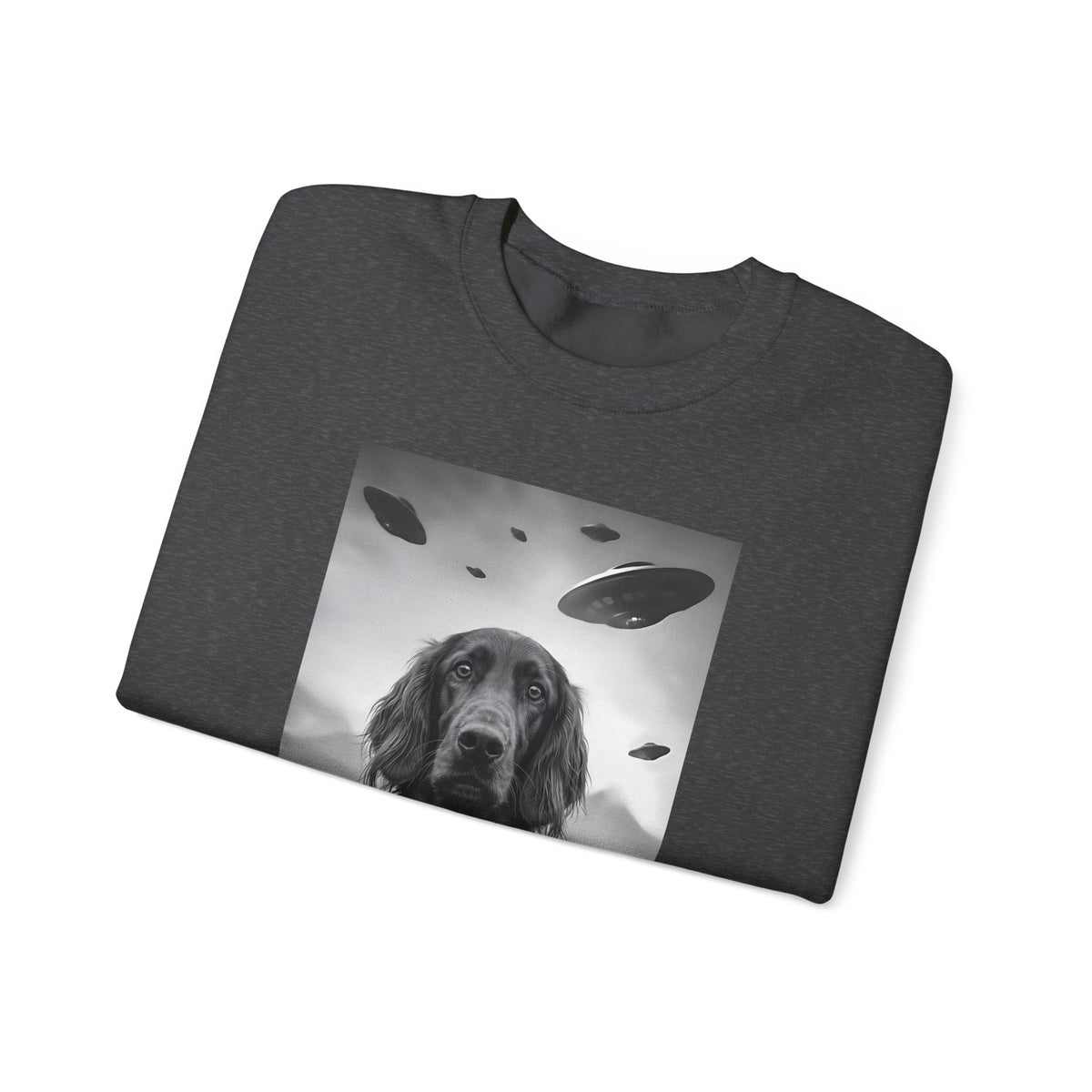 Irish Setter UFO Crewneck Sweatshirt