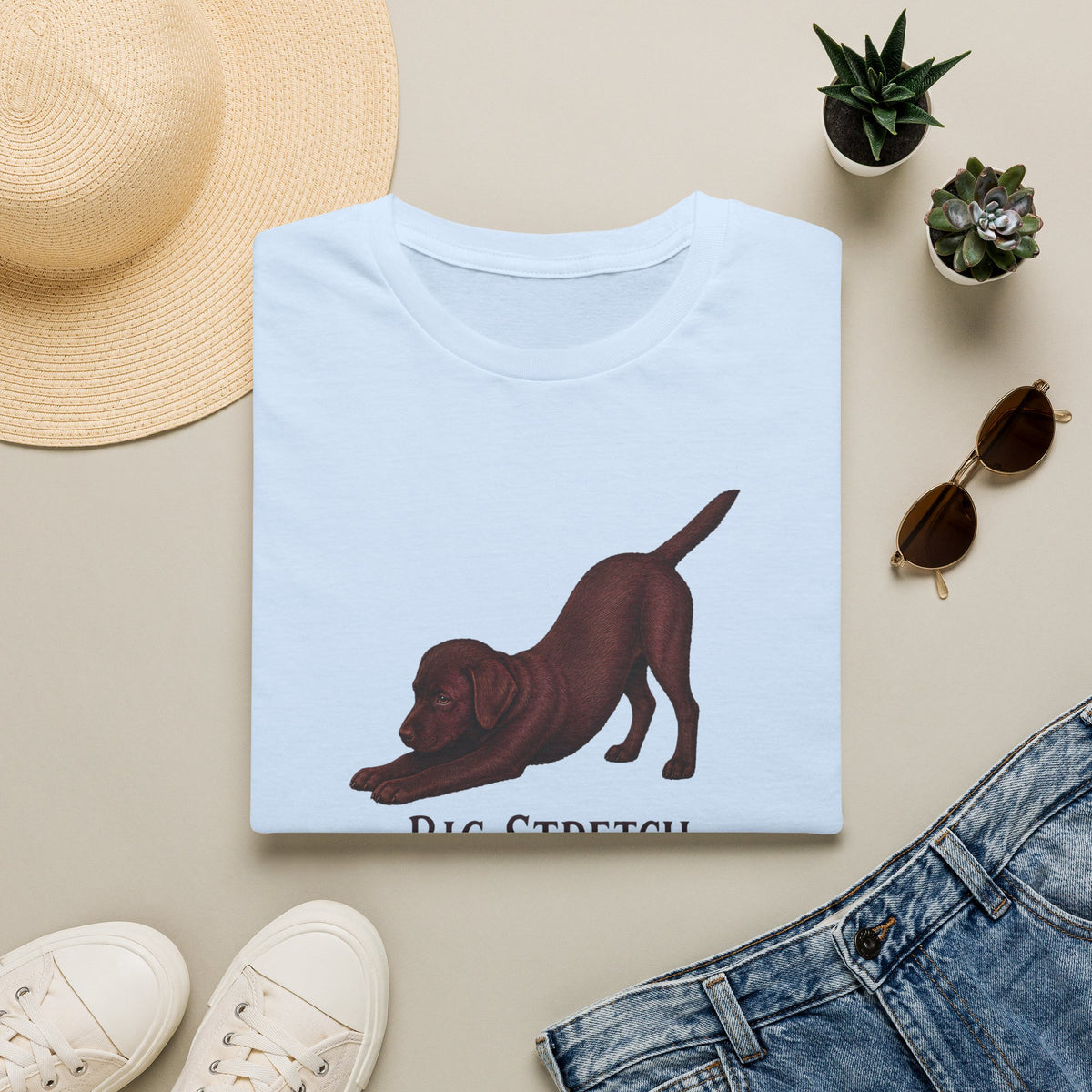 Big Stretch Chocolate Labrador Puppy