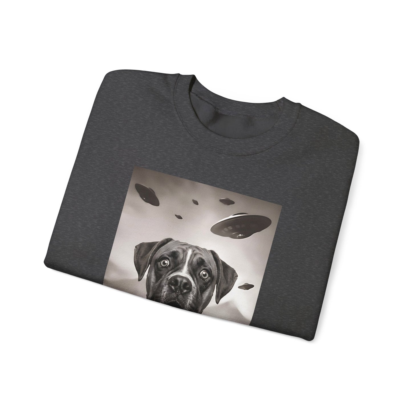 Boxer UFO Crewneck Sweatshirt
