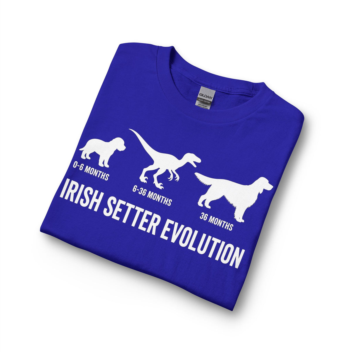 Irish Setter Evolution Long Sleeve