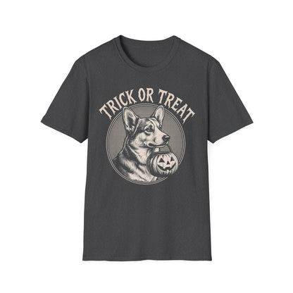 Cardigan Welsh Corgi Halloween
