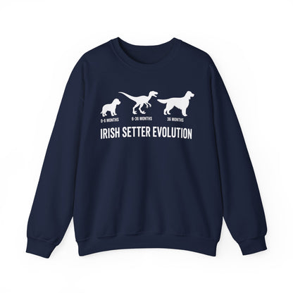 Irish Setter Evolution Crewneck Sweatshirt