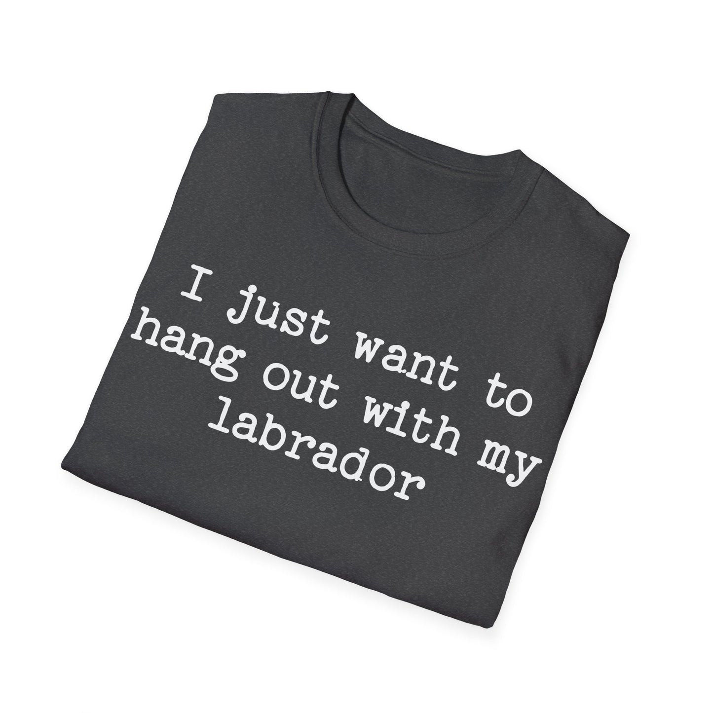 I Just Want To Hang Out With My Labrador Tee