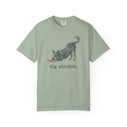 Australian Cattle Dog Big Stretch Premium Tee