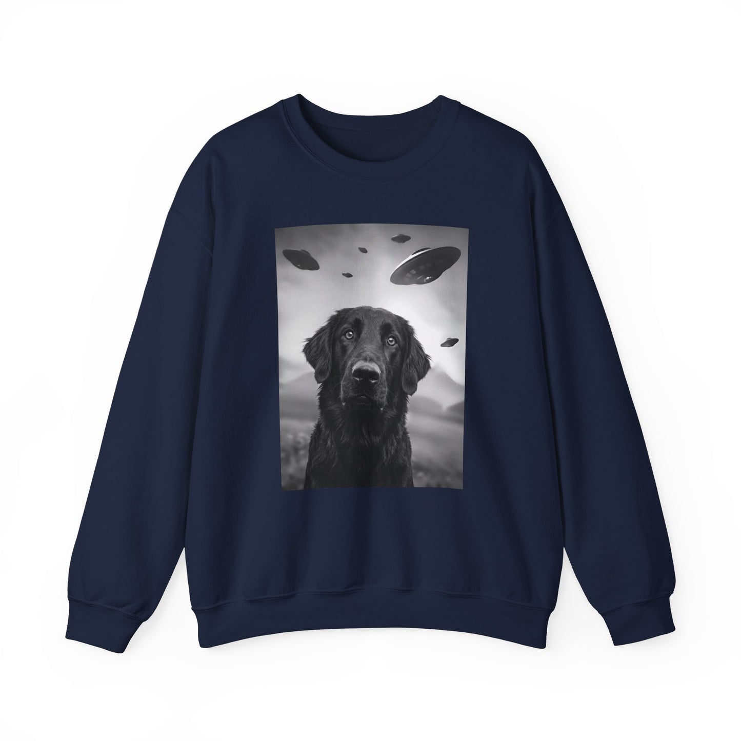 Flat Coated Retriever UFO Crewneck Sweatshirt