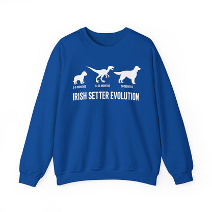 Irish Setter Evolution Crewneck Sweatshirt