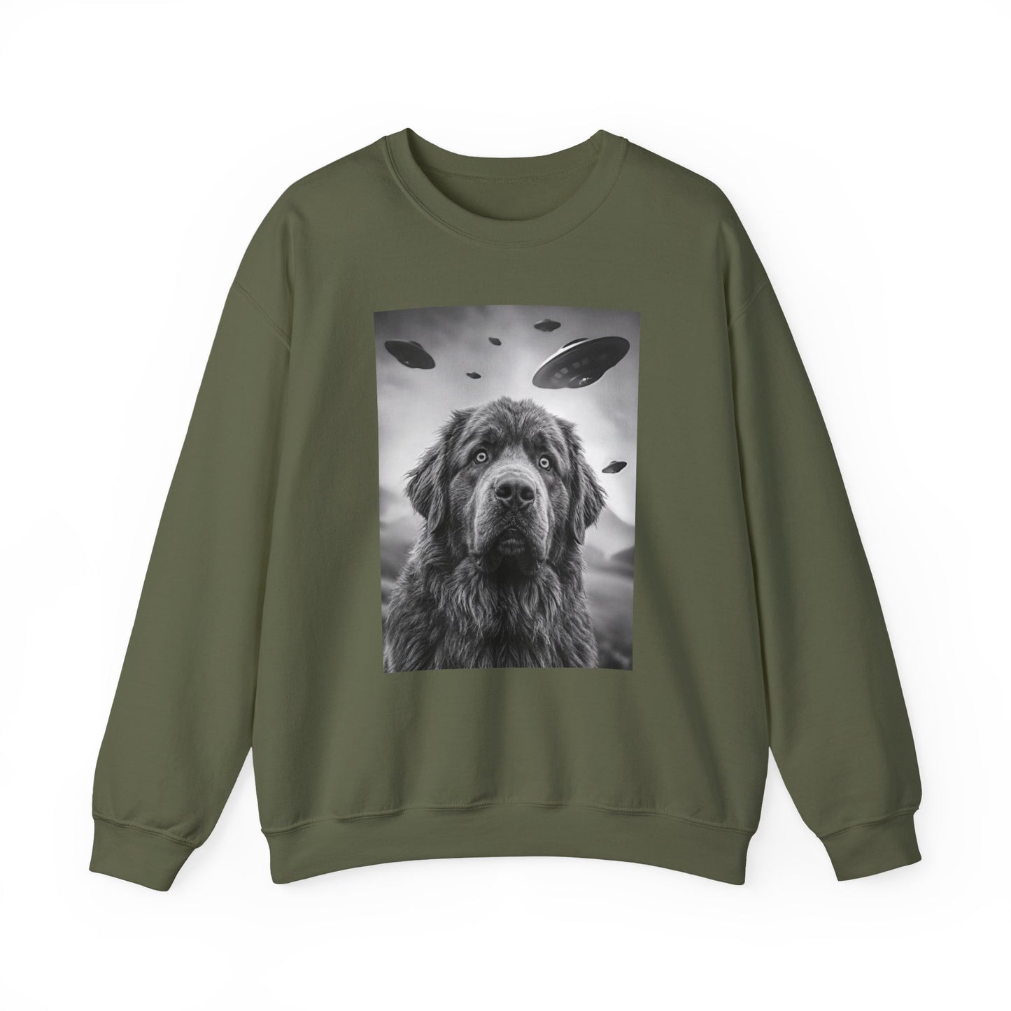 Newfoundland UFO Crewneck Sweatshirt
