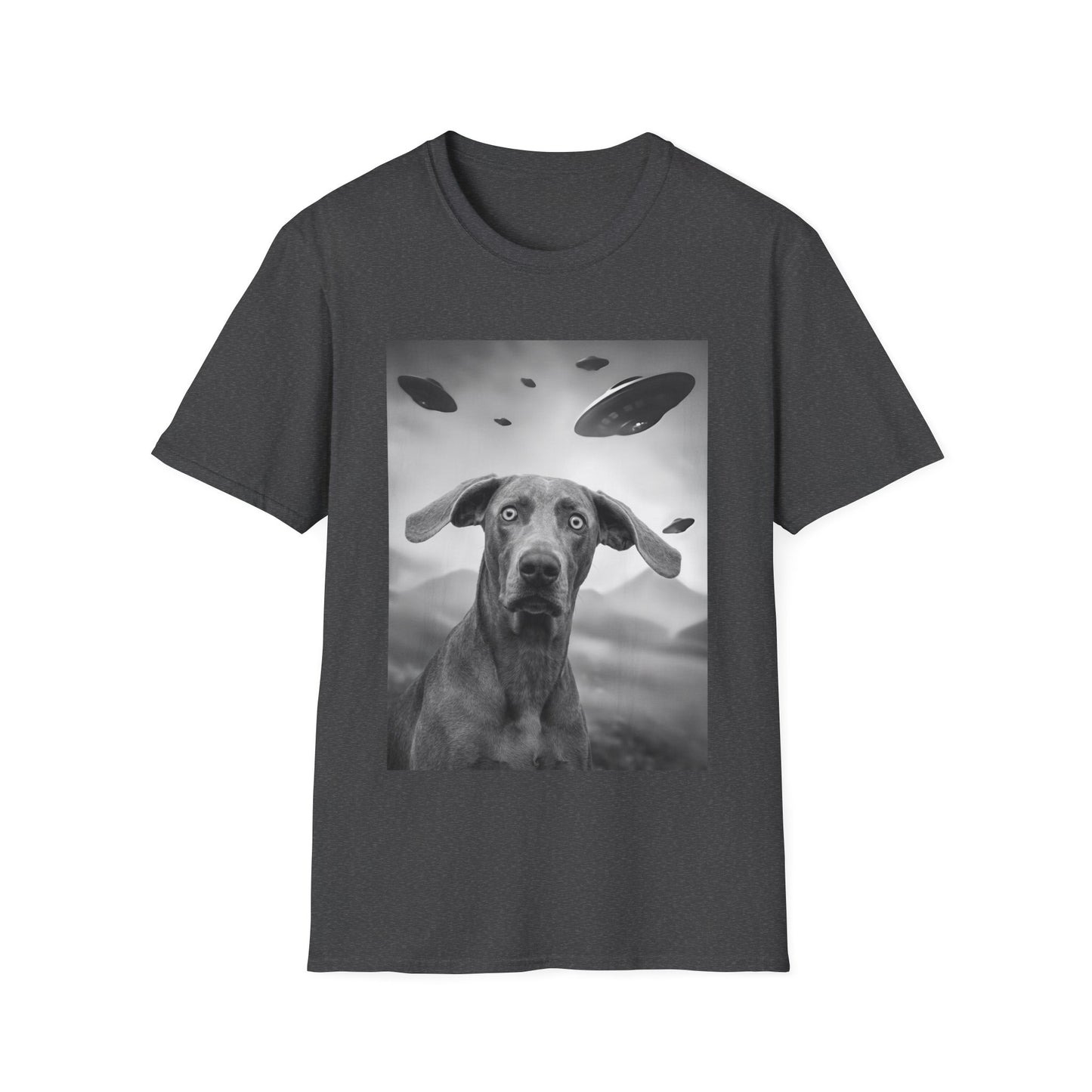Weimaraner UFO